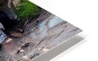Driftwood All Smiles HD Metal print