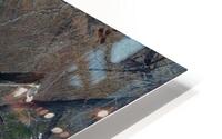Tree portal 7 HD Metal print