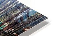 Tree portal 2 HD Metal print