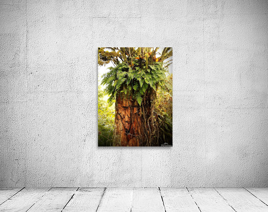Stump Man Wall Preview