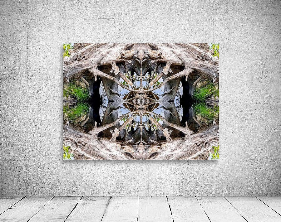 Driftwood Third Eye Wall Preview
