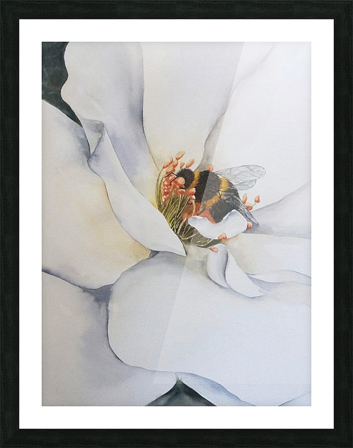 A bee visitor Picture Frame print