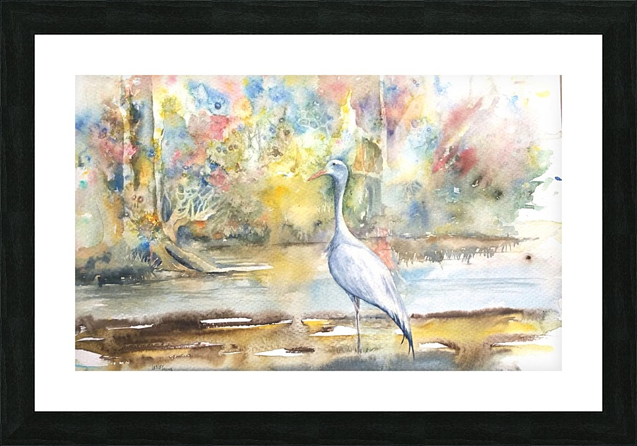 Blue Crane Picture Frame print