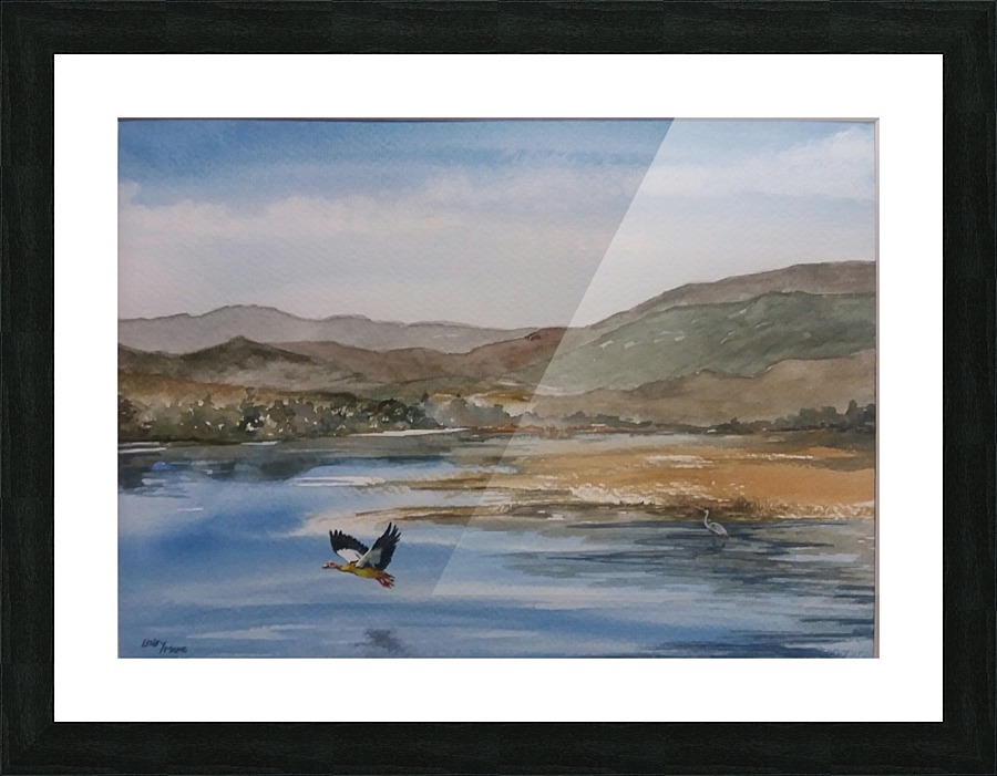 Evening Flight Picture Frame print