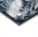 Crystalized Acrylic print