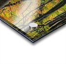 Autumnal Acrylic print