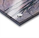 Lethargic Acrylic print