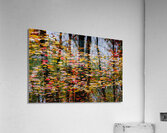 Symphony Acrylic Print