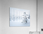 Winterportrait Acrylic Print