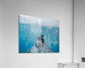 Pinnacle Acrylic Print