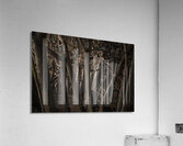 Exploring Acrylic Print