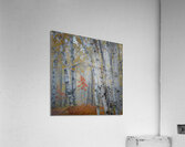 Among us Acrylic Print