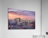 Vibrance Acrylic Print