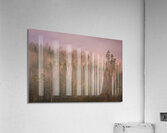 Unique Acrylic Print