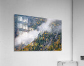 Hide and seek Acrylic Print