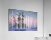 Patience Acrylic Print