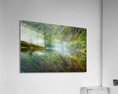 Convergence Acrylic Print