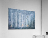 Striking Acrylic Print