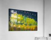 Transient Acrylic Print