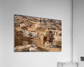 Congo Acrylic Print