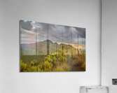 Kenya Acrylic Print