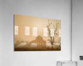 Delhi Acrylic Print
