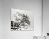 Quebec Acrylic Print