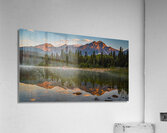Jasper 2 Acrylic Print