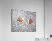 Suspended Acrylic Print