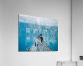 Pinnacle Acrylic Print