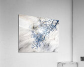 Freeze Acrylic Print