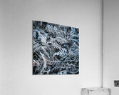 Crystalized Acrylic Print
