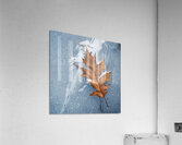Stuck Acrylic Print