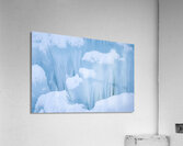 Curiosity Acrylic Print