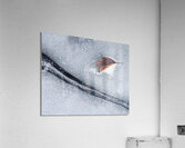 Asleep Acrylic Print