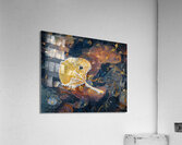 Transient Acrylic Print