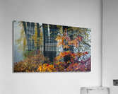 Enchanted Acrylic Print
