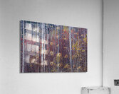 Ablaze Acrylic Print