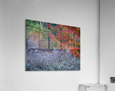 Overlap Acrylic Print