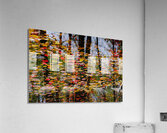 Symphony Acrylic Print