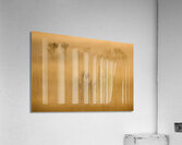 Change Acrylic Print