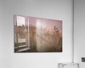 Unique Acrylic Print