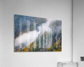 Hide and seek Acrylic Print