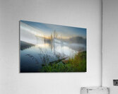 Adversity Acrylic Print