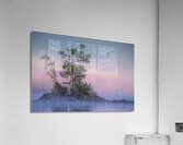 Patience Acrylic Print