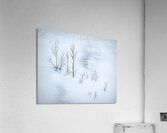 Snowplay Acrylic Print