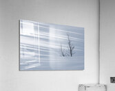 Visiting Acrylic Print