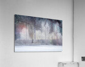 Fleeting Acrylic Print