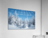 Family Acrylic Print