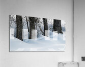 Surrounded Acrylic Print